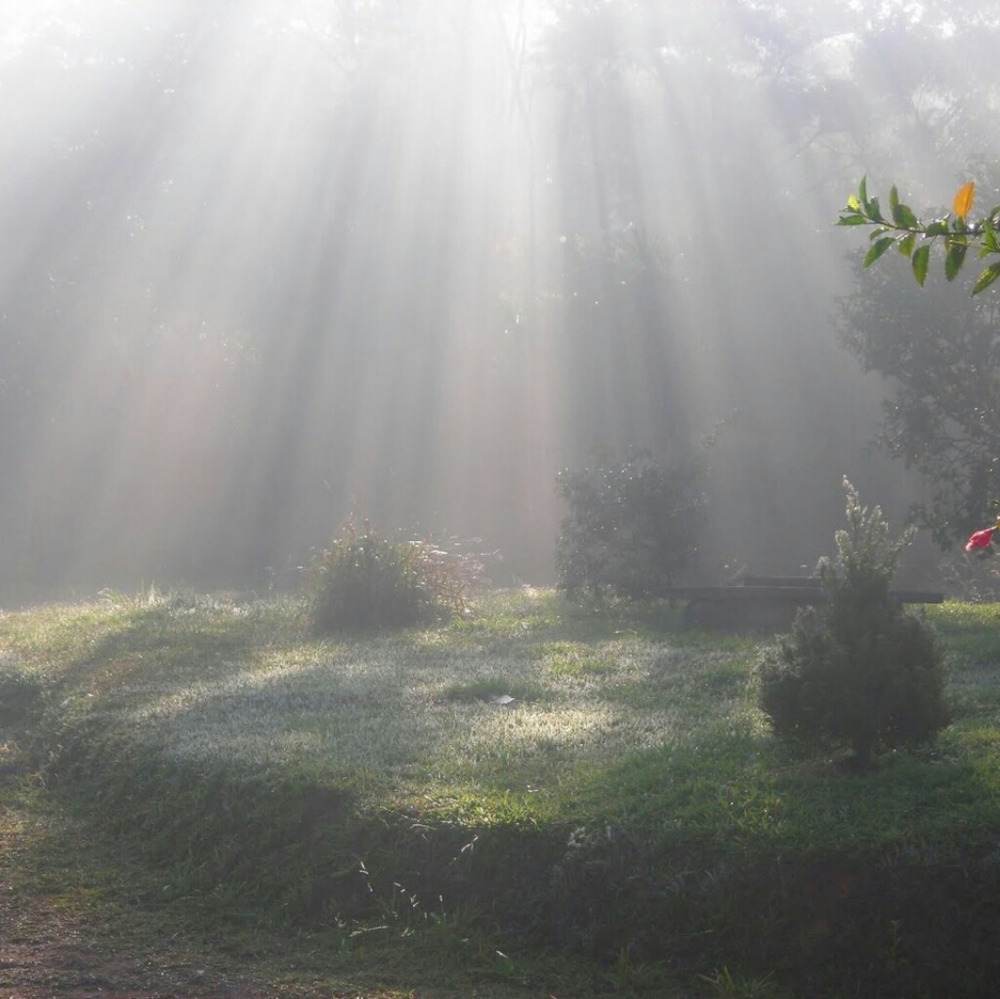 . - Picture 7 of 7